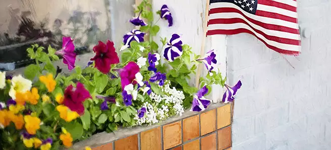 Planter image